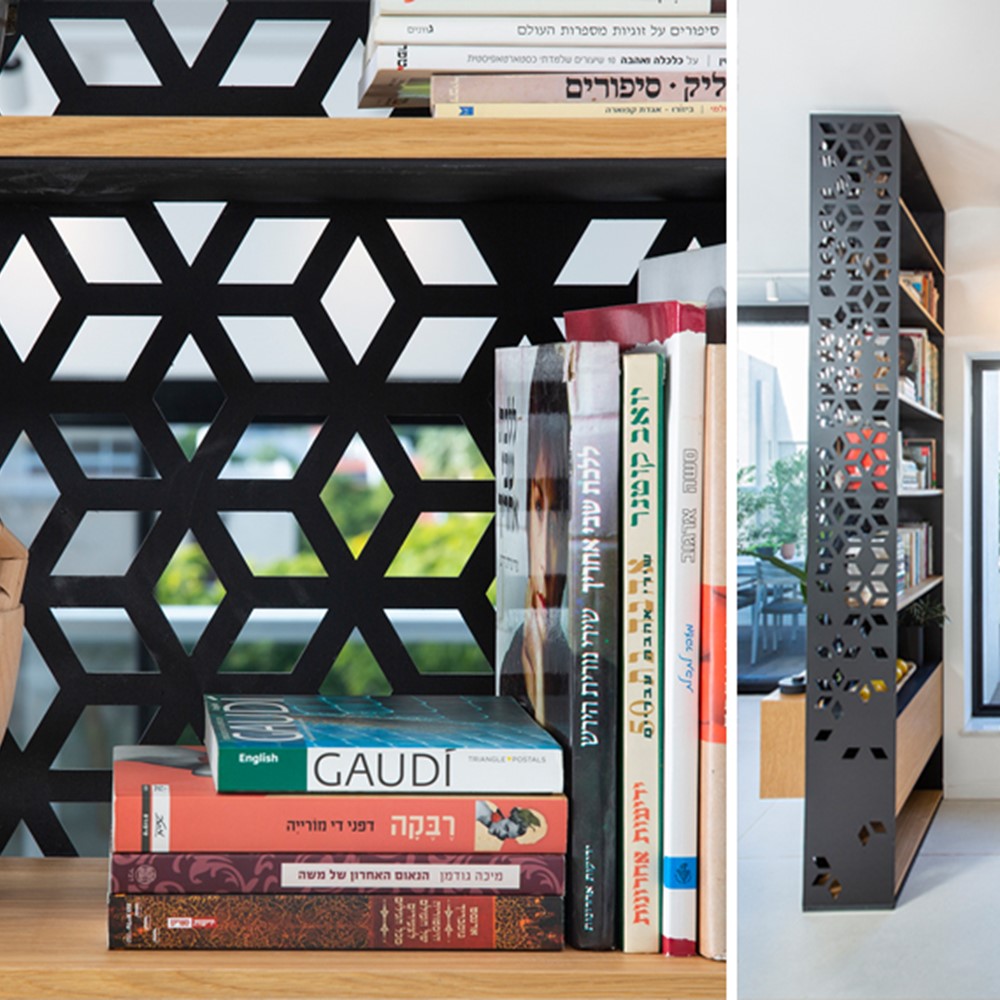 צילום: עידן גור